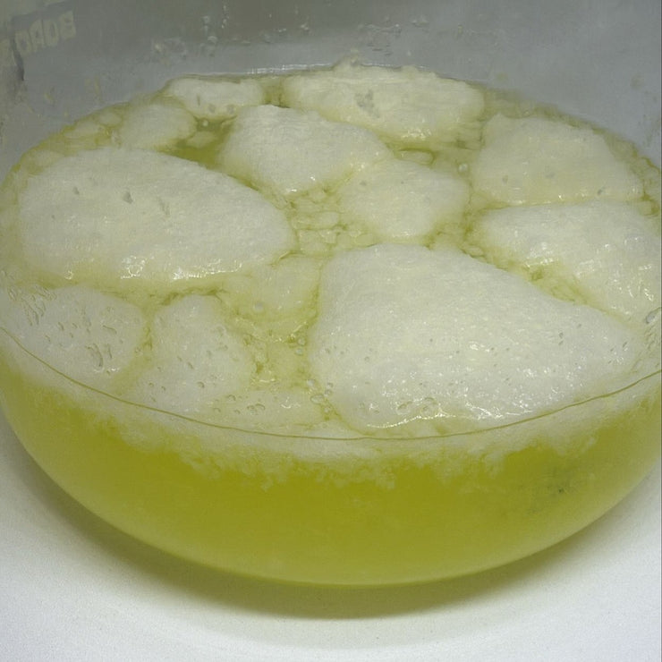 WHITE ROSE ELIXIR - 40ml - Ahom World