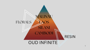 OUD INFINITE 2.5g - Ahom World