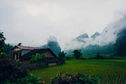 LAOS PUSONG Valley OUD -Artisan Oud Oil - Ahom World
